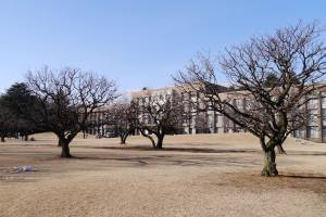 The main school building at ICU